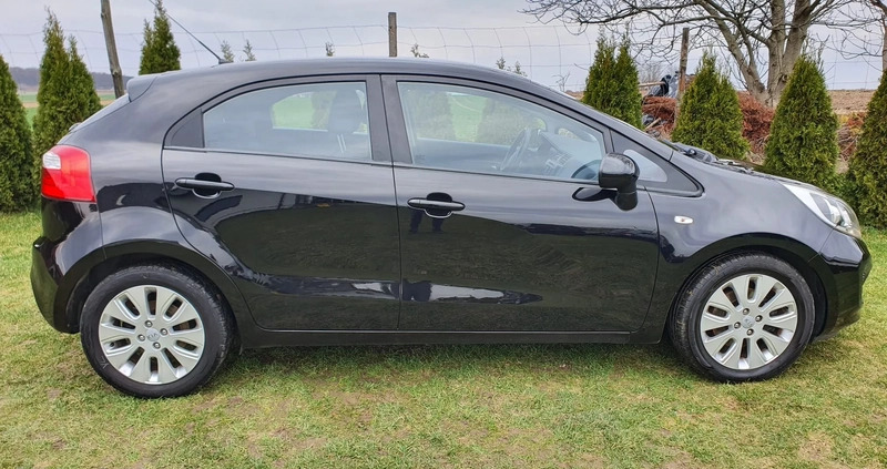 Kia Rio cena 24900 przebieg: 171272, rok produkcji 2011 z Tarnów małe 79